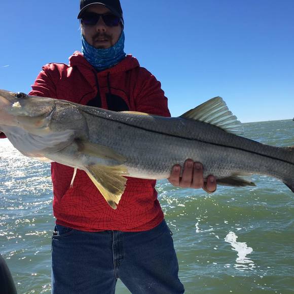 Meet your Posher, Tim - Picture 1 of 1